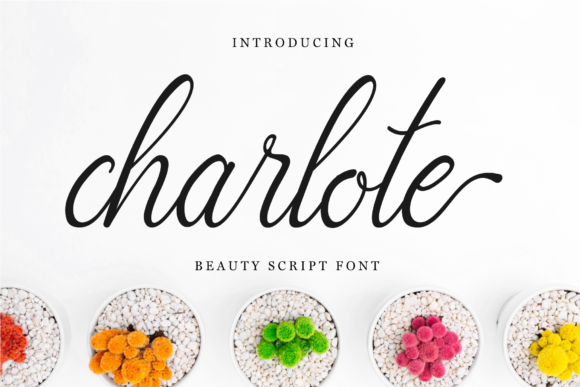 Charlote Script: A Creative Asset for Modern Designers