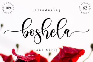 Exploring Boshela Script: A Font with Authentic Character