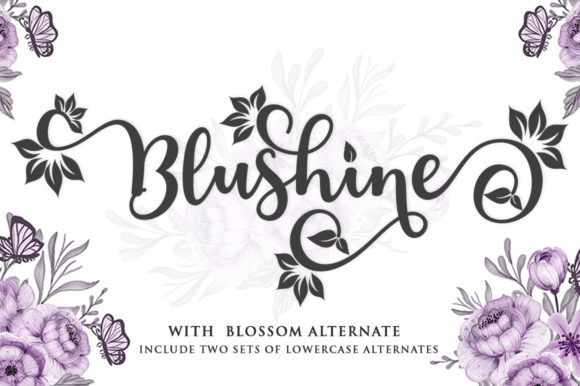 Why Blushine Script is a Modern Calligraphy Favorite